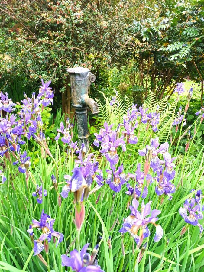 Old Bake House Cottage @ Cwm Mill Michaelchurch Bagian luar foto